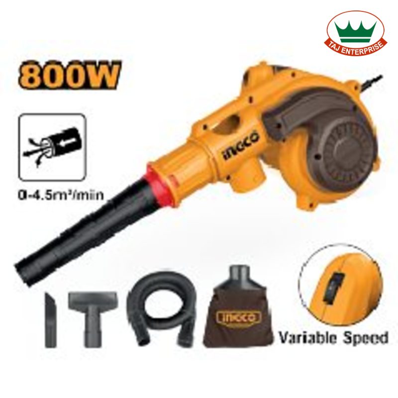 Aspirator Blower 800W