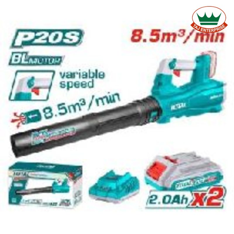 Cordless Blower 20V (Brushless, with 2 Batteries & Charger)
